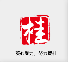 聚焦产业，努力援桂